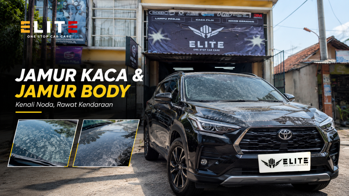 Jamur Kaca dan Jamur Body Mobil: Penyebab, Dampak, dan Cara Mengatasinya